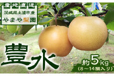 【先行予約】豊水約5kg（8～14個入り） ※2025年8月下旬～9月上旬頃に順次発送予定【茨城県産】
※離島への配送不可