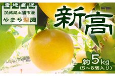 【先行予約】新高約5kg（5～8個入） ※2025年9月中旬～9月下旬頃に順次発送予定【茨城県産】
※離島への配送不可