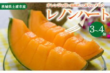 【先行予約】レノンハート3～4個　※離島への配送不可　※2025年5月下旬～6月下旬頃に順次発送予定