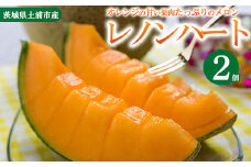 【先行予約】レノンハート2個　※離島への配送不可　※2025年5月下旬～6月下旬頃に順次発送予定
