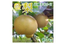 茨城県産 梨【品種おまかせ】約5kg【茨城県共通返礼品　かすみがうら市産】※2025年9月中旬～2026年1月下旬頃に順次発送予定 ※離島への配送不可