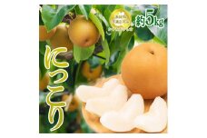 茨城県産【にっこり梨】約5kg【茨城県共通返礼品　かすみがうら市産】※2025年9月末～2025年12月下旬頃に順次発送予定 ※離島への配送不可