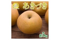 【先行予約限定】 茨城県産【あきづき梨】約5kg【茨城県共通返礼品　かすみがうら市産】※2025年9月上旬～2025年10月下旬頃に順次発送予定 ※離島への配送不可