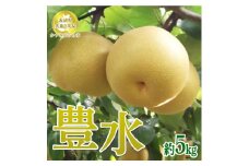 【先行予約限定】 茨城県産【豊水梨】約5kg【茨城県共通返礼品　かすみがうら市産】※2025年8月下旬～2025年9月下旬頃に順次発送予定 ※離島への配送不可