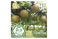 【先行予約限定】 【定期便3ヶ月】茨城県産 梨【食べ比べ3種定期便】約5kg×3回発送 【茨城県共通返礼品　かすみがうら市産】※2025年8月下旬～11月下旬頃に順次発送予定 ※離島への配送不可