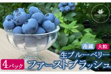 ファーストブラッシュ ブルーベリー 大粒 上品な甘さ 4パック｜生果実 香りが強い 爽やか フルーティー 高級感 パリッと食感 ※離島への配送不可
