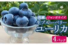 ユーリカ ブルーベリー 大粒 ジャンボサイズ 4パック｜生果実 甘い フルーティー 高級感 パリッと食感 ※離島への配送不可