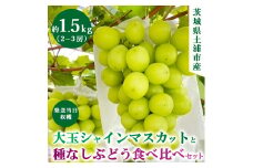 【先行予約】シャインマスカットと食べ比べセット【約1.5キロ】 ※2025年9月中旬～10月下旬頃に順次発送予定