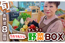 【旬のお野菜8品目】ウカマルシェ　セレクト野菜BOX　※離島への配送不可
