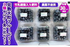 【先行予約30セット限定】大粒完熟ブルーベリー3種セレクト食べ比べセット｜お楽しみ 大粒完熟 農薬不使用 竹乳酸菌入り肥料 ※離島への配送不可 ※2025年7月中旬～8月中旬頃に順次発送予定