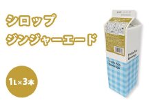 シロップ ジンジャーエード（辛口タイプ） スミダ飲料 1000ml （1L） ×3本　※離島への配送不可
