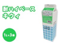 シロップ 酎ハイベース キウイ スミダ飲料 1000ml （1L） ×3本　※離島への配送不可