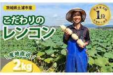 こだわりのレンコン2kg | ギフト 産地直送 茨城県 土浦市産 れんこん 蓮根 シャキシャキ 甘み 送料無料　※離島への配送不可　※2025年9月上旬頃より順次発送予定