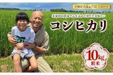 【令和6年産】コシヒカリ 精米 10kg【茨城県共通返礼品　美浦村産】◇ ※2024年9月中旬頃より順次発送予定