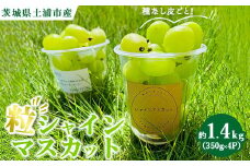 粒ぶどう シャインマスカット 約1.4kg（350g×4P）　※離島への配送不可　※2025年9月中旬～10月下旬頃に順次発送予定