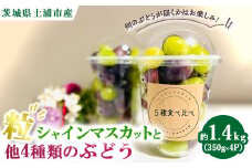 シャインマスカットと他4種類のぶどう（粒）約1.4kg（350g×4P）　※離島への配送不可　※2025年9月中旬～10月下旬頃に順次発送予定