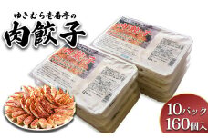 ゆきむら壱番亭の肉餃子10パック(160個入り) ※離島への配送不可