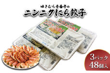 ゆきむら壱番亭のニンニクにら餃子3パック(48個入り)　※離島への配送不可
