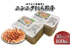 ゆきむら壱番亭のニンニクにら餃子10パック(160個入り)　※離島への配送不可