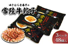ゆきむら壱番亭の常陸牛餃子3パック(48個入り)　※離島への配送不可