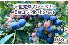 【先行予約30セット限定】大粒完熟ブルーベリー2種セレクト食べ比べセット ※2025年7月中旬～8月中旬頃に順次発送予定 ※離島への配送不可