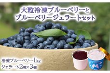 大粒冷凍ブルーベリー1kgと手作りブルーベリージェラート2種×3個セット ※離島への配送不可