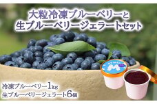 大粒冷凍ブルーベリー1kgと手作り生ブルーベリージェラート6個セット ※離島への配送不可