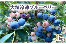 大粒冷凍ブルーベリー1kg ※離島への配送不可