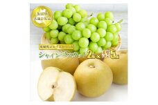 シャインマスカット2房と梨5個【茨城県共通返礼品　かすみがうら市産】果物 くだもの フルーツ ぶどう ブドウ 葡萄 なし 梨 冷蔵 クール便　※2025年8月上旬～10月下旬頃に順次発送予定