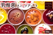 乳酸菌スイーツアソート10個入 　パティスリー天使のおくりもの　※離島への配送不可