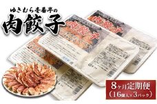 【8ヶ月定期便】ゆきむら壱番亭の肉餃子3パック(48個入り) ※離島への配送不可
