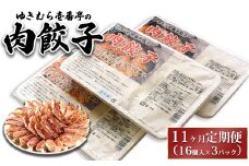 【11ヶ月定期便】ゆきむら壱番亭の肉餃子3パック(48個入り) ※離島への配送不可