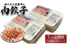 【7ヶ月定期便】ゆきむら壱番亭の肉餃子6パック(96個入り) ※離島への配送不可