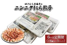 【6ヶ月定期便】ゆきむら壱番亭のニンニクにら餃子3パック(48個入り) ※離島への配送不可