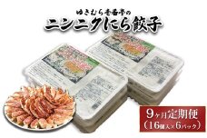 【9ヶ月定期便】ゆきむら壱番亭のニンニクにら餃子6パック(96個入り) ※離島への配送不可