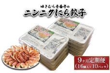 【9ヶ月定期便】ゆきむら壱番亭のニンニクにら餃子10パック(160個入り) ※離島への配送不可