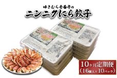 【10ヶ月定期便】ゆきむら壱番亭のニンニクにら餃子10パック(160個入り) ※離島への配送不可