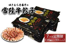 【7ヶ月定期便】ゆきむら壱番亭の常陸牛餃子10パック(160個入り) ※離島への配送不可