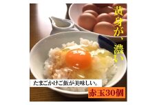江原ファーム　体に優しい地養卵 ３０個 割れ補償 | 卵 30個 赤玉 玉子 たまご タマゴ 生卵 鶏卵 生みたて 産みたて 地養卵 新鮮 濃厚 健康 TKG たまごかけごはん ご飯のお供 国産 ギフト 贈答 贈り物 お中元 お歳暮 プレゼント 茨城県 古河市 直送 農家直送 産地直送 _AG03