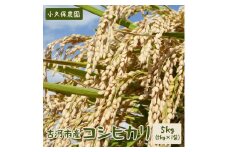 【令和6年産】古河市産 コシヒカリ5kg【小久保農園】| こめ 米 コメ 白米 精米 ご飯 単一米 国産 ギフト 贈答 贈り物 お祝 ご褒美 プレゼント _AS01