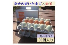 江原ファーム　地養卵＆アローカナハーフセット 計３０個 割れ補償 | 卵 30個 食べ比べ 玉子 たまご タマゴ 生卵 鶏卵 生みたて 産みたて アローカナ 地養卵 食べくらべ セット 新鮮 濃厚 健康 青い卵 TKG たまごかけごはん  ご飯のお供 国産 ギフト 贈答 贈り物 お中元 お歳暮 プレゼント 茨城県 古河市 直送 農家直送 産地直送 _AG07