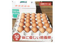 江原ファーム　体に優しい地養卵 ５０個 割れ補償 | 卵 50個 赤玉 玉子 たまご タマゴ 生卵 鶏卵 生みたて 産みたて 地養卵 新鮮 濃厚 健康 TKG たまごかけごはん ご飯のお供 国産 ギフト 贈答 贈り物 お中元 お歳暮 プレゼント 茨城県 古河市 直送 農家直送 産地直送 _AG04
