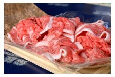古河市で育った常陸牛！切り落とし650g | 肉 牛肉 650グラム 国産 茨城県 ブランド 冷凍 焼肉 BBQ 小分け 切り落とし 高級 贅沢 ギフト 贈答 贈答用 プレゼント 送料無料_AO04 ※離島への配送不可