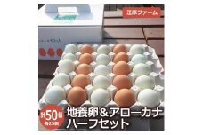 江原ファーム　地養卵＆アローカナハーフセット 計５０個 割れ補償 | 卵 50個 食べ比べ 玉子 たまご タマゴ 生卵 鶏卵 生みたて 産みたて アローカナ 地養卵 食べくらべ セット 新鮮 濃厚 健康 青い卵 TKG たまごかけごはん  ご飯のお供 国産 ギフト 贈答 贈り物 お中元 お歳暮 プレゼント 茨城県 古河市 直送 農家直送 産地直送 _AG08