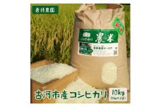 【令和6年産】古河市産 コシヒカリ10kg【倉持農園】 | 米 こめ コメ こしひかり コシヒカリ 10キロ 古河市産 茨城県産 贈答 贈り物 プレゼント 茨城県 古河市 直送 農家直送 産地直送 送料無料 _AN01