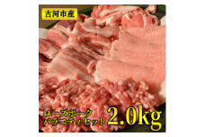 古河市産ローズポークバラエティセット2.0ｋｇ【全国銘柄食肉コンテストで最優秀賞を受賞】 | 肉 豚肉 ブランド 冷凍  BBQ 小分け 食べ比べ 食べくらべ ロース 肩ロース ひき肉 切り落とし セット商品 焼肉 ハンバーグ  詰め合わせ  ギフト 贈答 贈り物 お中元 お歳暮 プレゼント 茨城県 古河市 直送 産地直送 送料無料 _AD01