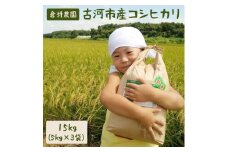 【令和6年産】古河市産 コシヒカリ15kg【倉持農園】 | 米 こめ コメ こしひかり コシヒカリ 15キロ 古河市産 茨城県産 贈答 贈り物 プレゼント 茨城県 古河市 直送 農家直送 産地直送 送料無料 _AN02