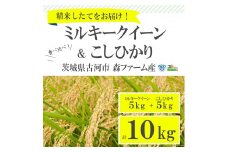 【新米】食べくらべ！特別栽培米　こしひかりとミルキークイーン5kgずつのセット | 米 こめ コメ 10キロ 特別栽培米 食べ比べ 食べくらべ こしひかり コシヒカリ ミルキークイーン みるきーくいーん 古河市産 茨城県産 贈答 贈り物 プレゼント 茨城県 古河市 直送 農家直送 産地直送 送料無料 _BI01