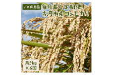 【令和5年産】毎月届く定期便！古河市産コシヒカリ5kg×6回【小久保農園】 | 米 こめ コメ 定期便 5キロ 30kg 30キロ こしひかり コシヒカリ 古河市産 茨城県産 贈答 贈り物 プレゼント 茨城県 古河市 直送 農家直送 産地直送 送料無料 _AS06