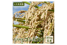 【令和5年産】古河市産　コシヒカリ30kg玄米【小久保農園】 | 米 こめ コメ 30キロ 玄米 こしひかり コシヒカリ 古河市産 茨城県産 贈答 贈り物 プレゼント 茨城県 古河市 直送 農家直送 産地直送 送料無料 _AS09